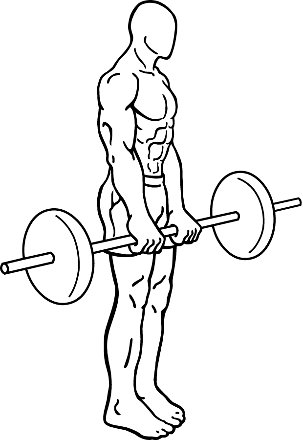 Line-art standing start with the bar at the hips.